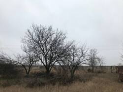 Продам Участок 10 соток правильной формы! фото 12 Продам Участок 10 соток правильной формы! фото 12