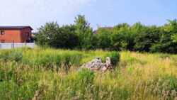 земельна ділянка 6 сот у місті на лівому березі Дніпра (Гіляровського) фото 5 земельна ділянка 6 сот у місті на лівому березі Дніпра (Гіляровського) фото 5