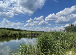 Продається ділянка Плюти, Обухівський, Київська фото 1 Продається ділянка Плюти, Обухівський, Київська фото 1