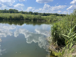 Продається ділянка Плюти, Обухівський, Київська фото 4 Продається ділянка Плюти, Обухівський, Київська фото 4
