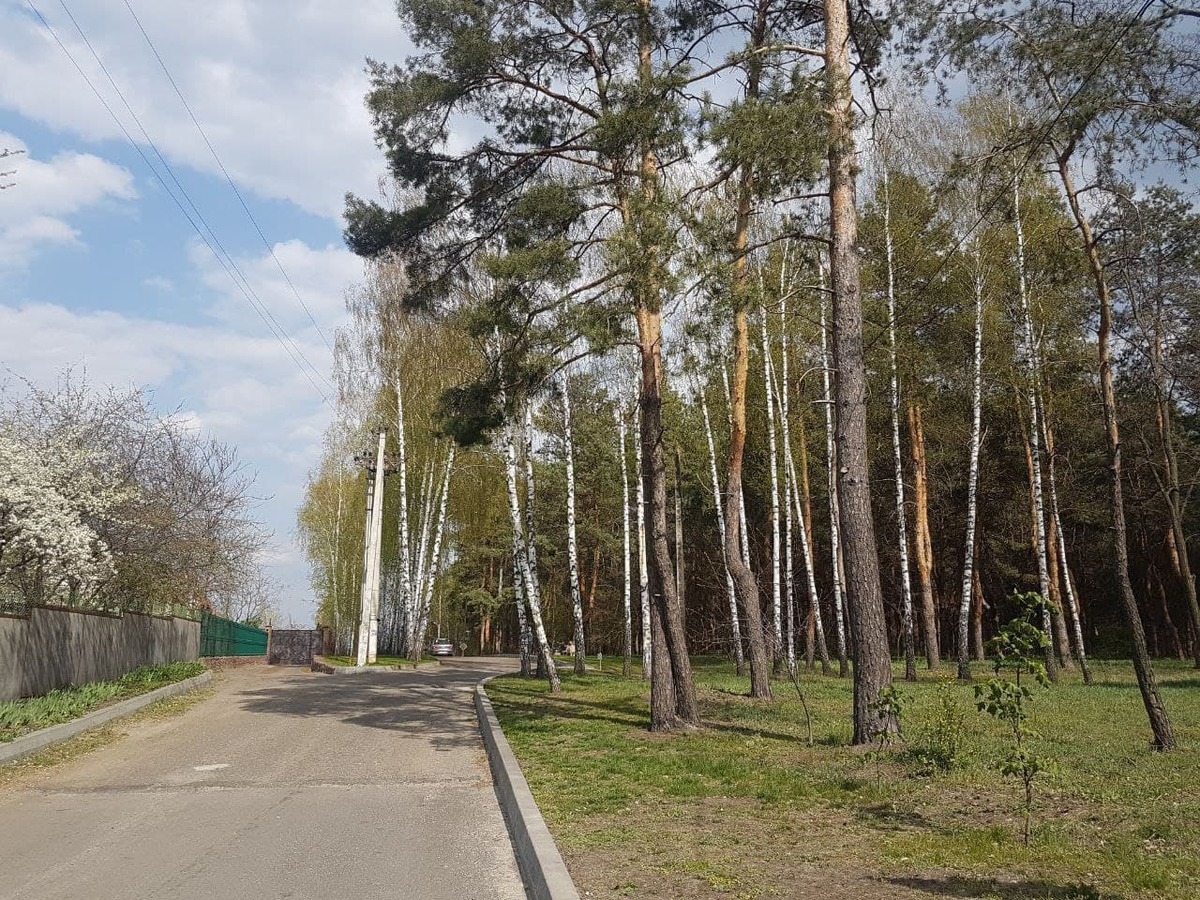 Продається ділянка Київська, Вишгородський, Лютіж фото 1 Продається ділянка Київська, Вишгородський, Лютіж фото 1