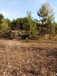 Продається ділянка Київська, Обухівський, Козин фото 10 Продається ділянка Київська, Обухівський, Козин фото 10