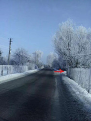 Продається ділянка Київська, Обухівський, Підгорці фото 4 Продається ділянка Київська, Обухівський, Підгорці фото 4