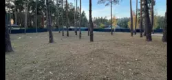   , , , .    16
