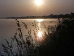 Продається ділянка Київська, Обухівський, Козин фото 6 Продається ділянка Київська, Обухівський, Козин фото 6