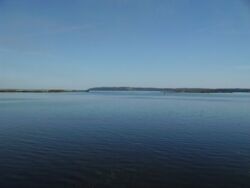 Продається ділянка Київська, Обухівський, Козин фото 5 Продається ділянка Київська, Обухівський, Козин фото 5