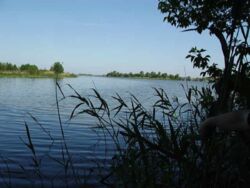 Продається ділянка Київська, Обухівський, Козин фото 1 Продається ділянка Київська, Обухівський, Козин фото 1