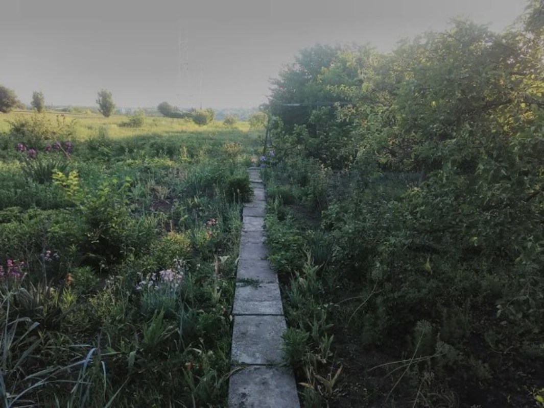 ������ ������� �� ������� ��������� ���� 1