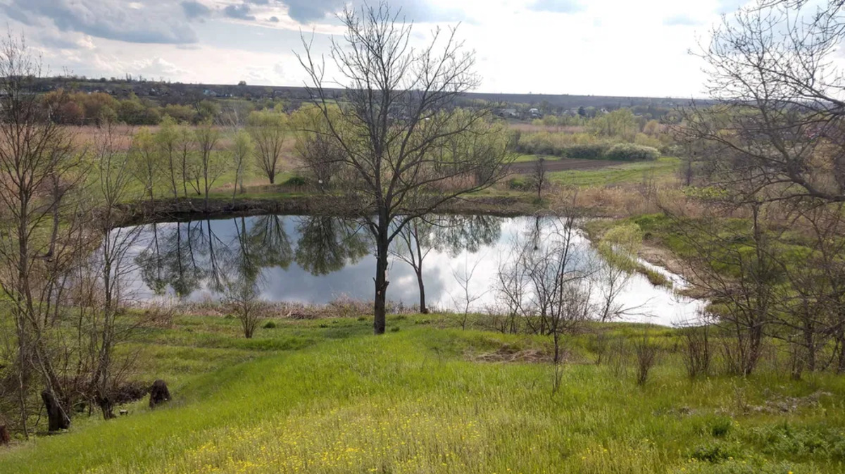 ������ ����������� �������� ������ 2,66 �� ���� 1