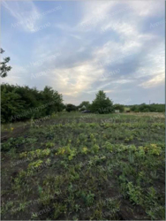 Продається земельна ділянка на Сонячному. фото 4 Продається земельна ділянка на Сонячному. фото 4