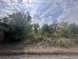 Продається земельна ділянка СТ ' КОМУНАЛЬНИК'. фото 1 Продається земельна ділянка СТ ' КОМУНАЛЬНИК'. фото 1