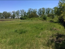 Продам участок на п. Молодежном фото 1 Продам участок на п. Молодежном фото 1