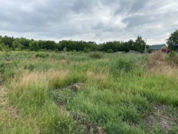 ������ �������� ������ � ������ ��������� ���� 1