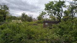 Продається земельна ділянка на Полтавській фото 1 Продається земельна ділянка на Полтавській фото 1