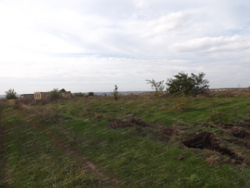 Продається 4 земельні ділянки на Лелеківці фото 3 Продається 4 земельні ділянки на Лелеківці фото 3