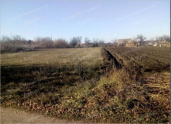 Продається земельна ділянка на Старій Балашівці. фото 5 Продається земельна ділянка на Старій Балашівці. фото 5