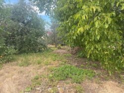 ������ �������� ������ �� ���������� �� ����� ���������. ���� 9