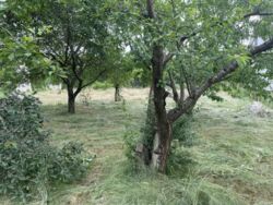 �������� ������ �������� . ������ ��� ���� 6