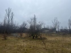 Продається земельна ділянка в с.Первозванівка фото 12 Продається земельна ділянка в с.Первозванівка фото 12