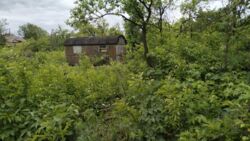 Продається земельна ділянка на Полтавській фото 2 Продається земельна ділянка на Полтавській фото 2