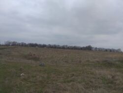 Продам ділянку землі на Арнаутово. фото 5 Продам ділянку землі на Арнаутово. фото 5