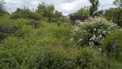 Продається земельна ділянка на Полтавській фото 3 Продається земельна ділянка на Полтавській фото 3