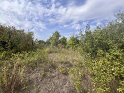 Продається земельна ділянка СТ ' КОМУНАЛЬНИК'. фото 3 Продається земельна ділянка СТ ' КОМУНАЛЬНИК'. фото 3