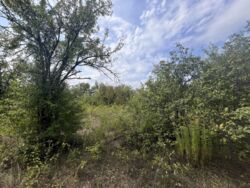 Продається земельна ділянка СТ ' КОМУНАЛЬНИК'. фото 5 Продається земельна ділянка СТ ' КОМУНАЛЬНИК'. фото 5