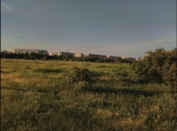 ������ ������� �� ������� ��������� ���� 6