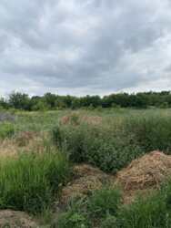 ������ �������� ������ � ������ ��������� ���� 3