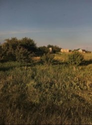 ������ ������� �� ������� ��������� ���� 8