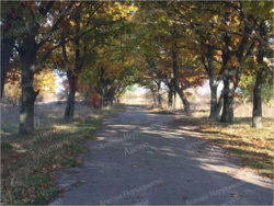 Продається земельна ділянка на Лелеківці. фото 4 Продається земельна ділянка на Лелеківці. фото 4