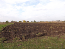 Продається 4 земельні ділянки на Лелеківці фото 4 Продається 4 земельні ділянки на Лелеківці фото 4