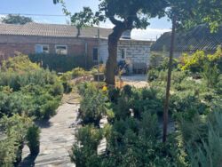 Готовий бізнес + земля під забудову в прохідному місці! фото 12 Готовий бізнес + земля під забудову в прохідному місці! фото 12