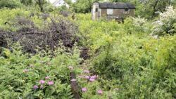 Продається земельна ділянка на Полтавській фото 4 Продається земельна ділянка на Полтавській фото 4