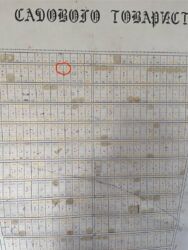 Продається земельна ділянка СТ ' КОМУНАЛЬНИК'. фото 7 Продається земельна ділянка СТ ' КОМУНАЛЬНИК'. фото 7