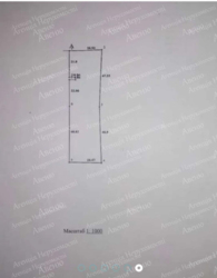 Земельна ділянка під забудову 24 сот. Кущівка Катранівка фото 3 Земельна ділянка під забудову 24 сот. Кущівка Катранівка фото 3