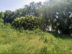 Продам участок возле речки фото 1 Продам участок возле речки фото 1