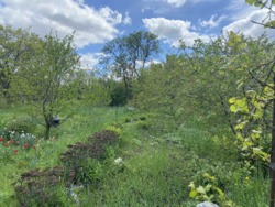 ������ �������� ������ � �������� ��������� '���� ���������' ���� 4