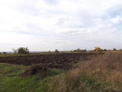 Продається 4 земельні ділянки на Лелеківці фото 2 Продається 4 земельні ділянки на Лелеківці фото 2