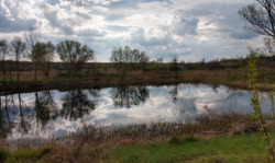 ������ ����������� �������� ������ 2,66 �� ���� 6