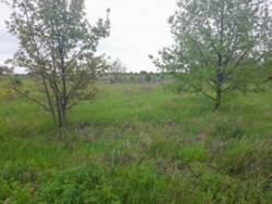 Продам ділянку п. Молодіжний фото 5 Продам ділянку п. Молодіжний фото 5