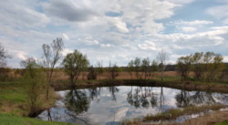 ������ ����������� �������� ������ 2,66 �� ���� 3