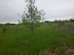 Продам ділянку п. Молодіжний фото 2 Продам ділянку п. Молодіжний фото 2