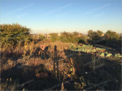 Продається земельна ділянка на Старій Балашівці. фото 6 Продається земельна ділянка на Старій Балашівці. фото 6