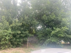 ������ �������� ������ �� ���������� �� ����� ���������. ���� 4