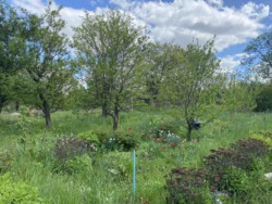 ������ �������� ������ � �������� ��������� '���� ���������' ���� 3