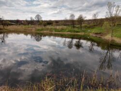 ������ ����������� �������� ������ 2,66 �� ���� 5