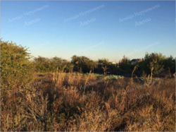 Продається земельна ділянка на Старій Балашівці. фото 4 Продається земельна ділянка на Старій Балашівці. фото 4