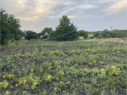 Продається земельна ділянка на Сонячному. фото 3 Продається земельна ділянка на Сонячному. фото 3